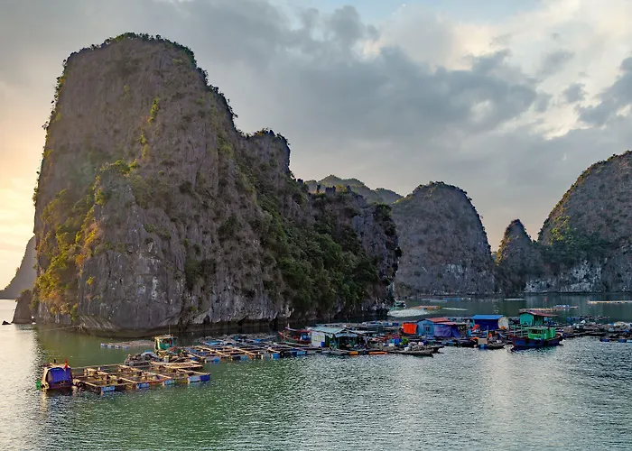  Heritage Line Ylang Cruise - Bay & Lan Ha Bay