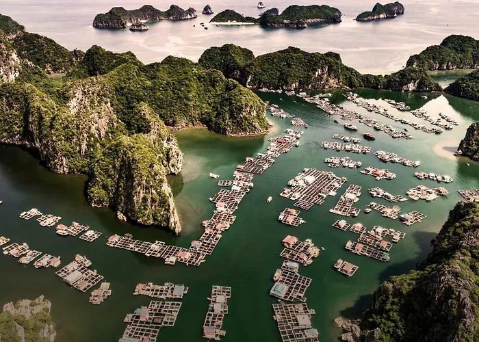 Heritage Line Ylang Cruise - Bay & Lan Ha Bay 5*