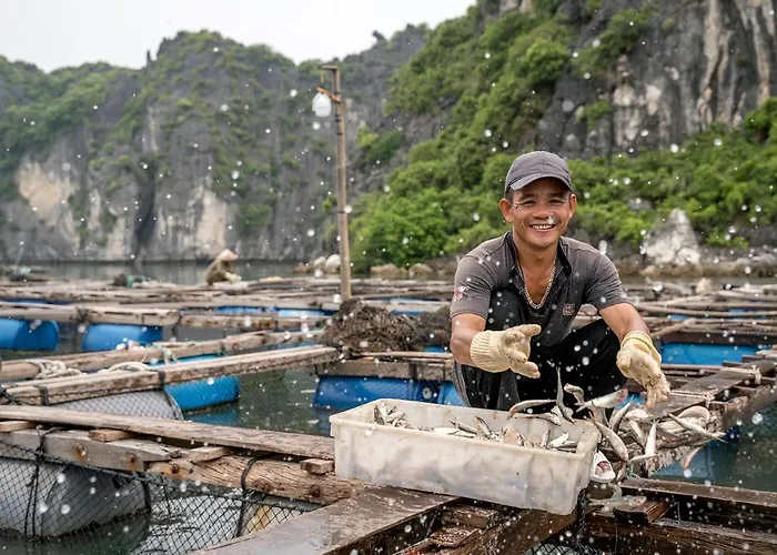 Heritage Line Ylang Cruise - Bay & Lan Ha Bay 5*